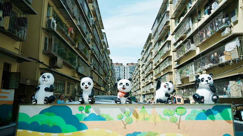 成都市锦江区牛市口街道创新探索新路径 破解老旧院落违建治理难题-新华网