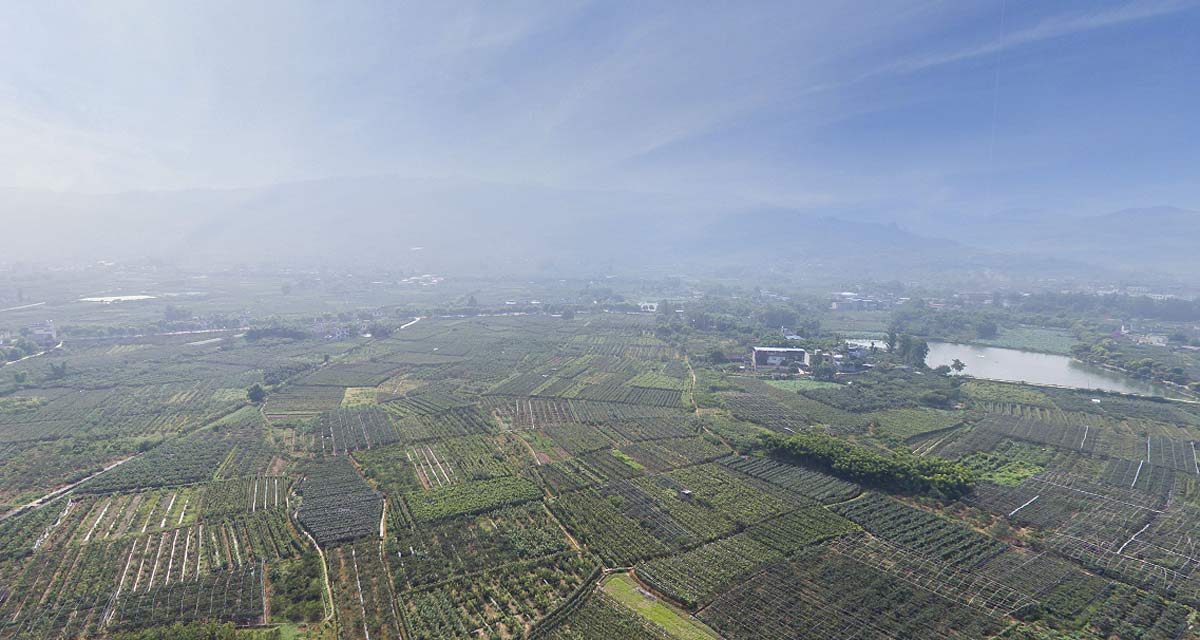 成都市天府新区太平镇