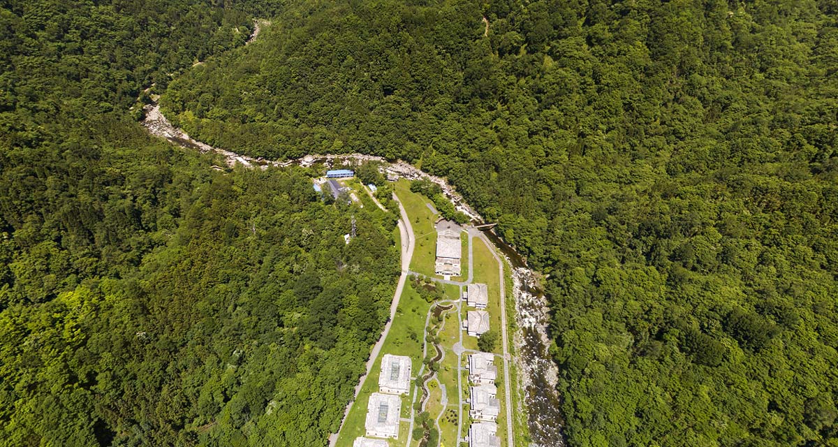 广元市青川县青溪镇