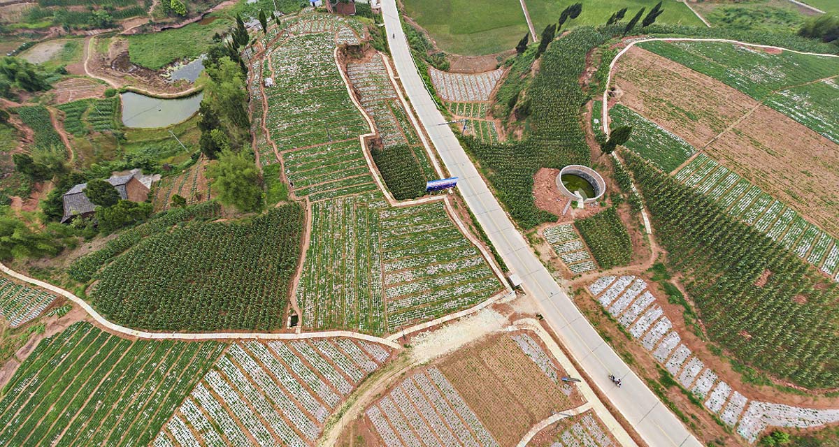 自贡市贡井区五宝镇