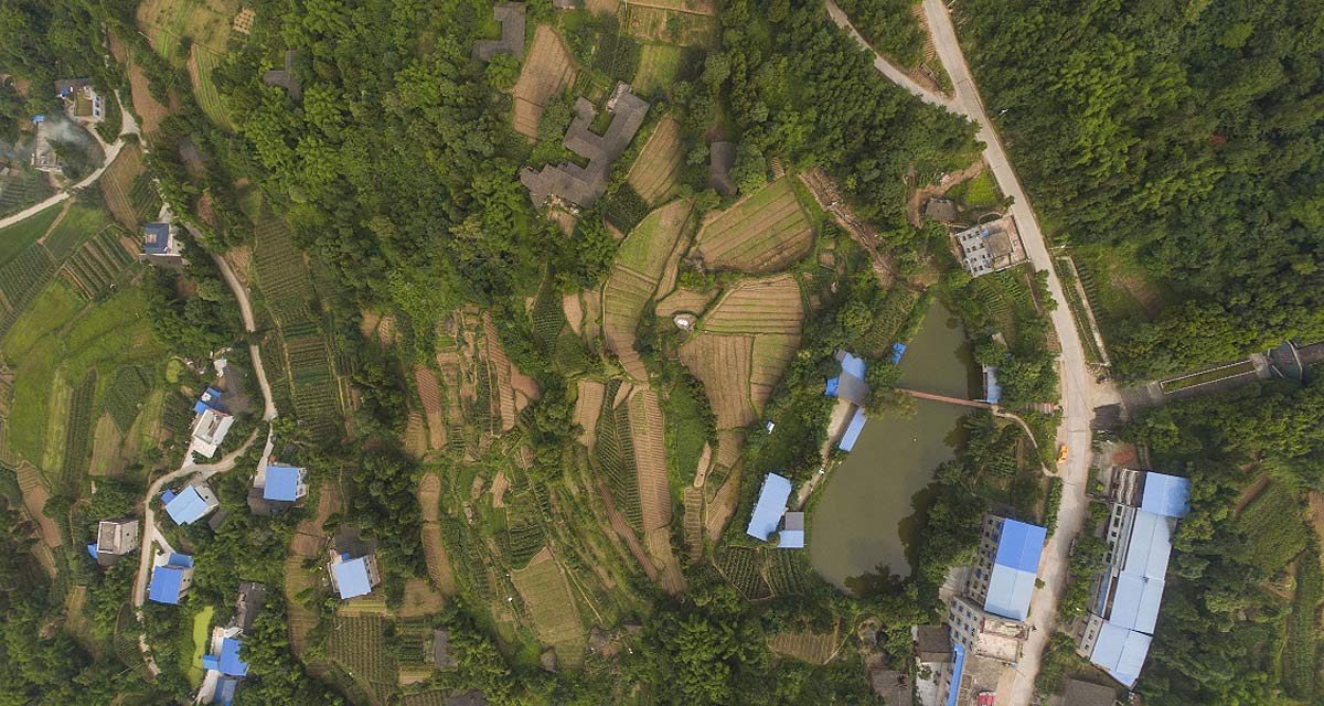 南充市仪陇县金城镇